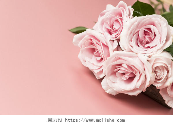 情人节玫瑰花背景图片